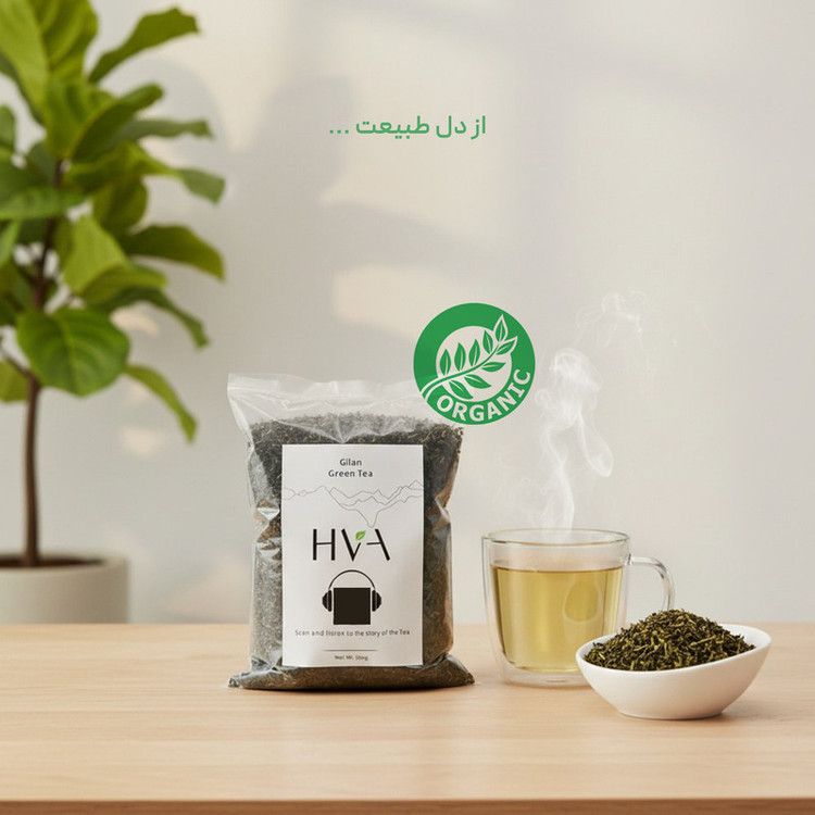 چای سبز ایرانی لنگرود حوا - 500 گرم