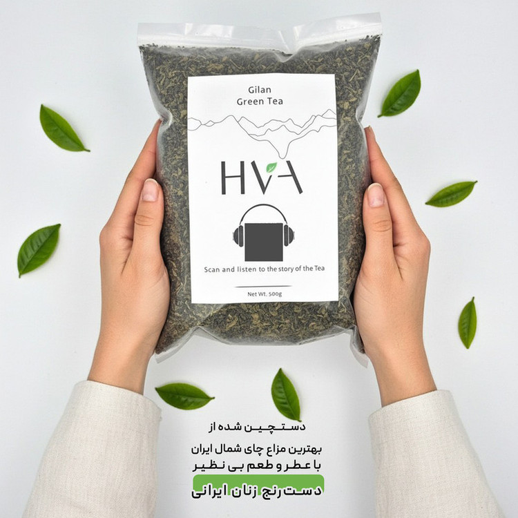 چای سبز ایرانی لنگرود حوا - 500 گرم