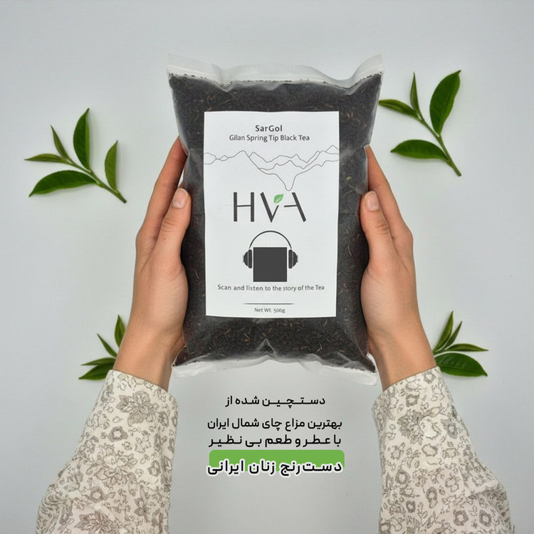 چای سیاه لنگرود - 500 گرم