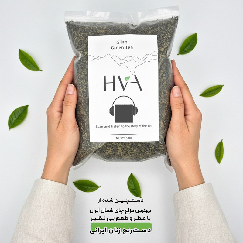 چای سبز ایرانی لنگرود حوا - 500 گرم